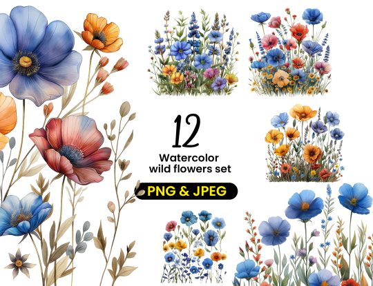 Watercolor wild flowers set PNG image